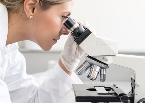 assessing breast biopsy sample